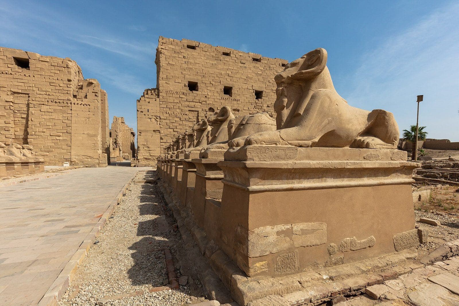 Luxor & Aswan